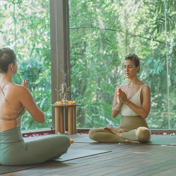 Yin Yoga & 5 Elements YTT