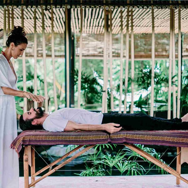 Reiki Level 1, 2 & Master and Teacher Online Training Bundle
