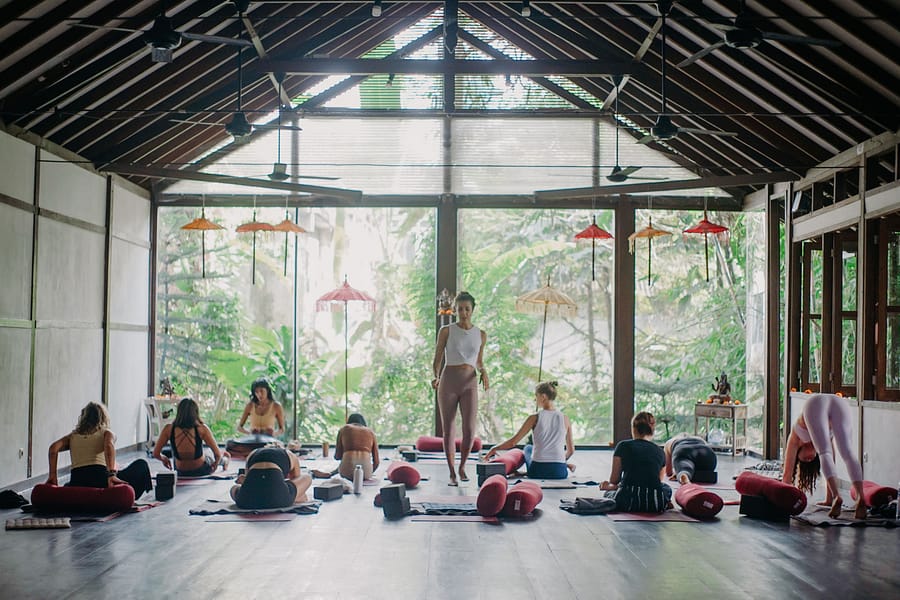 Paquete de Profesorados de Yin Yoga Online (Nivel 1 & 2) - Image 2