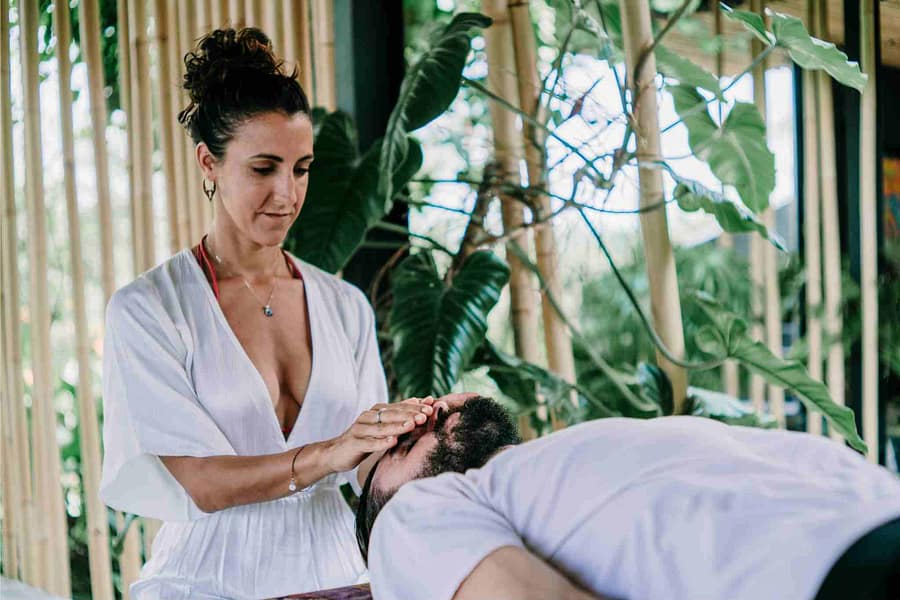 Reiki Master and Teacher Online Training - Image 2