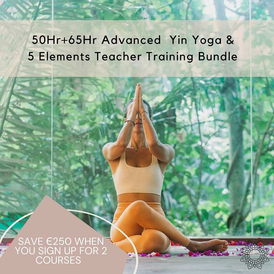 Yin Yoga Teacher training Bundle