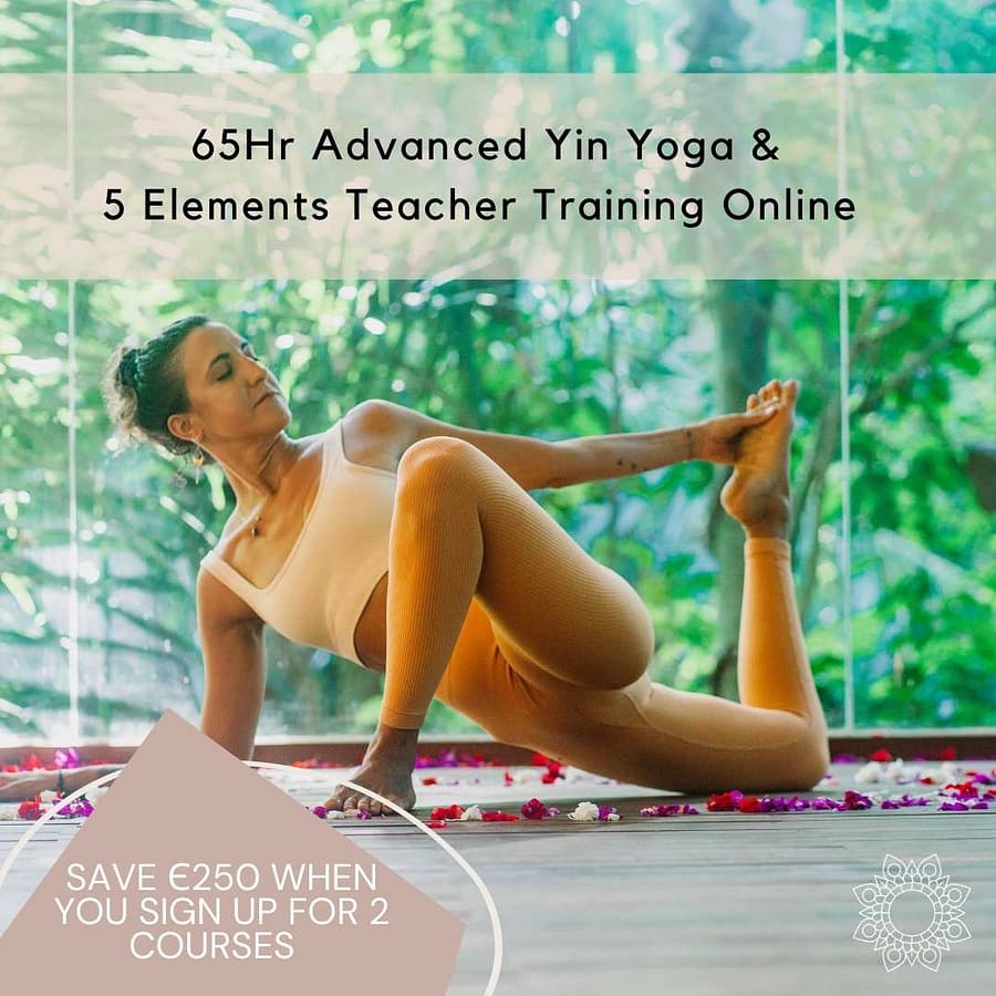 Advanced Yin Yoga & 5 Elements Teacher Training