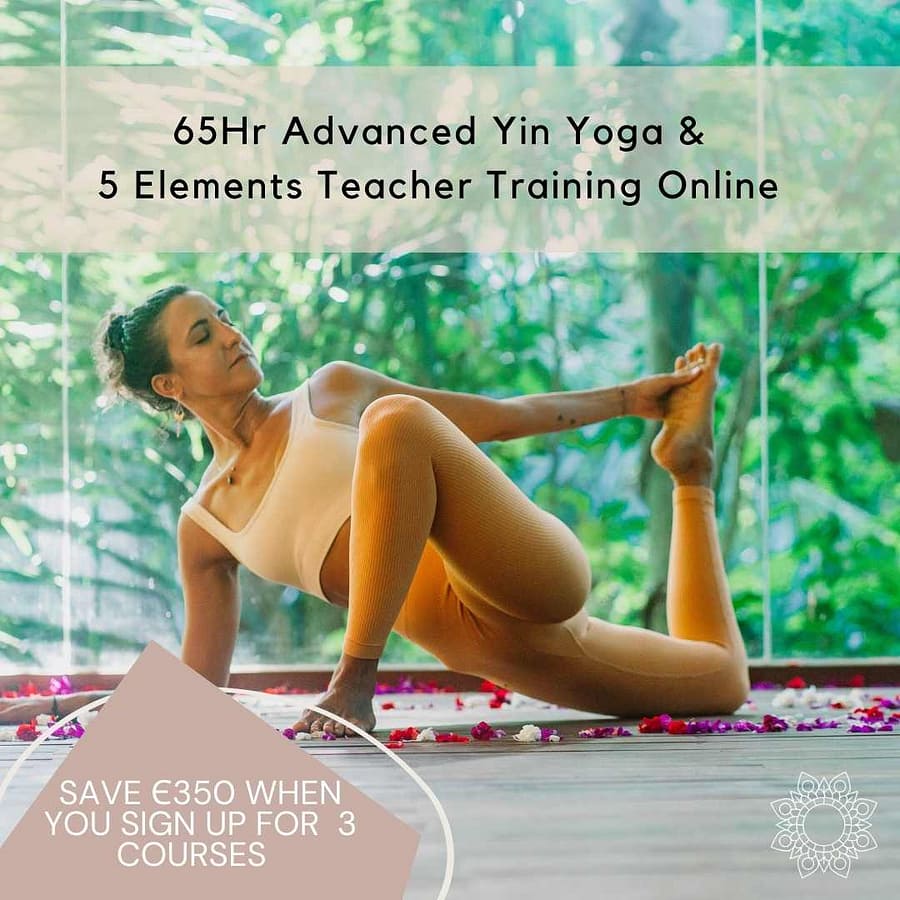 65 Hr Yin Yoga & Reiki Bundle